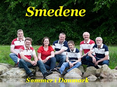 Smedene2012