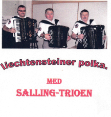 salling trioen2015