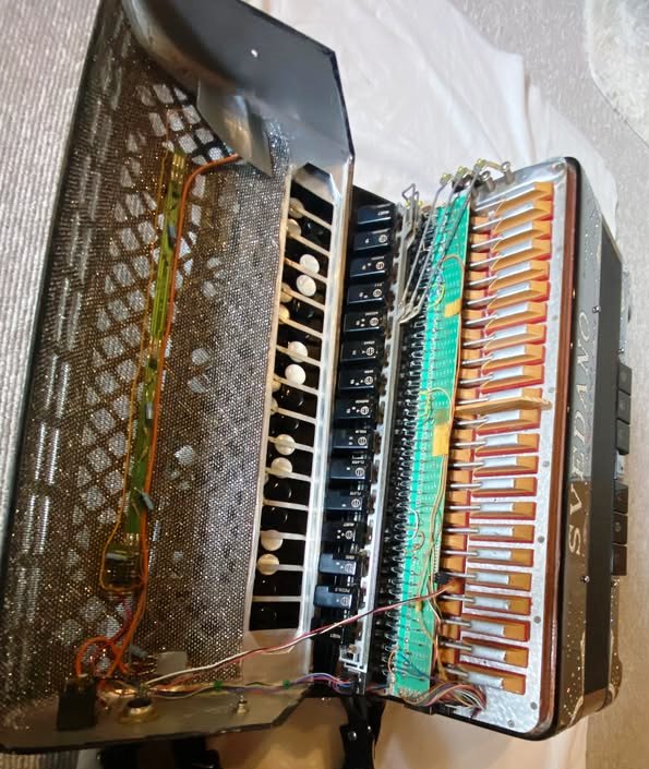 soeren hedegaard gislev svedano knap7